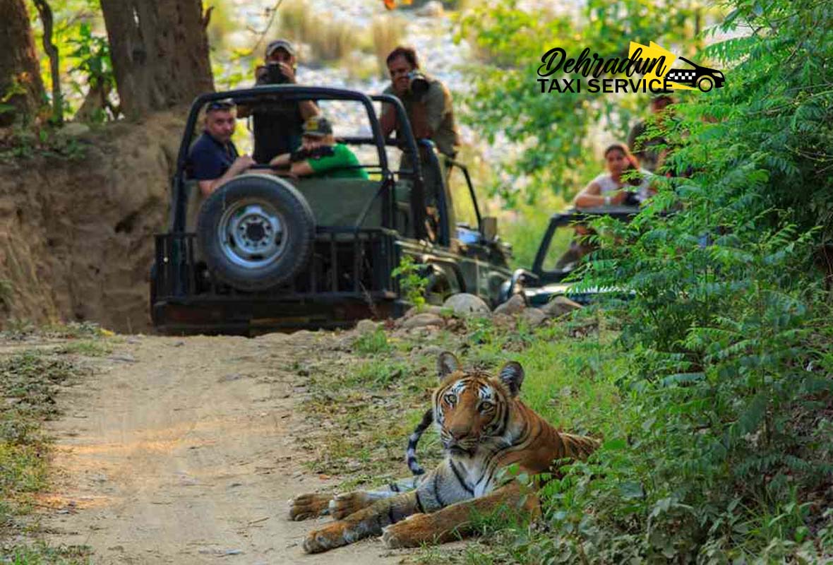 jim-corbett-package