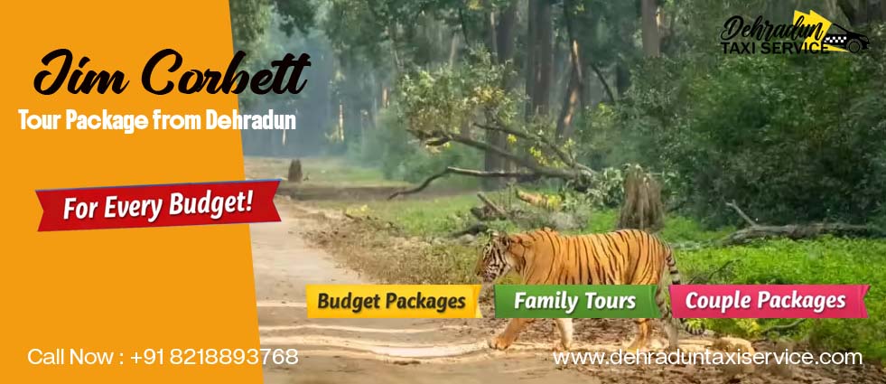 jim-corbett-package-from-dehradun